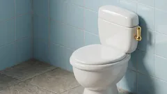 Wat we nooit hebben geleerd: een eenvoudige gewoonte voor meer comfort