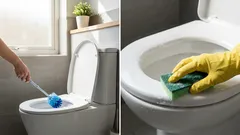 Hoe maak je een toiletbril schoon tot hij glanst: je hebt een eenvoudig huismiddeltje nodig