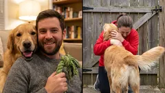 Kunnen honden 'dank je wel' zeggen, en hoe doen ze dat?